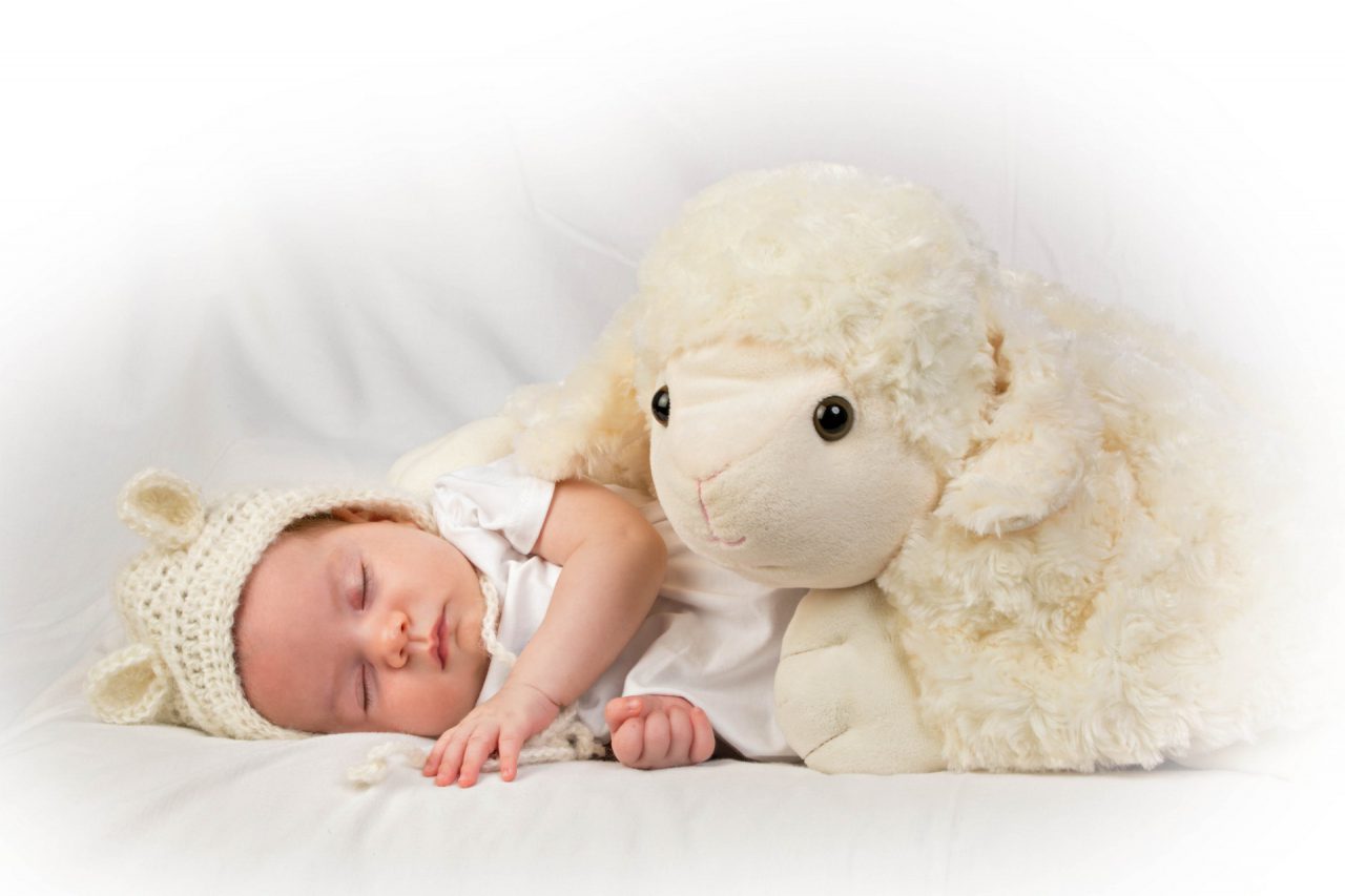 Pancione | Foto Studio Immagine